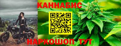гашик Аргун
