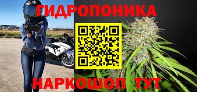 мяу мяу мука Гусь-Хрустальный