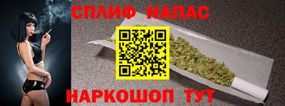гашик Аргун