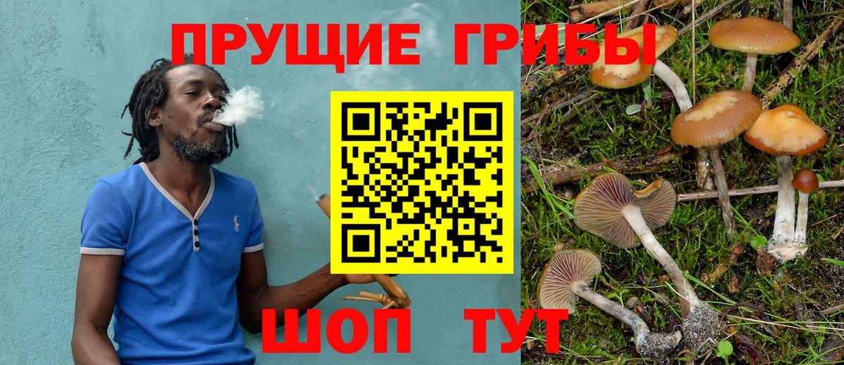 COCAIN Берёзовский
