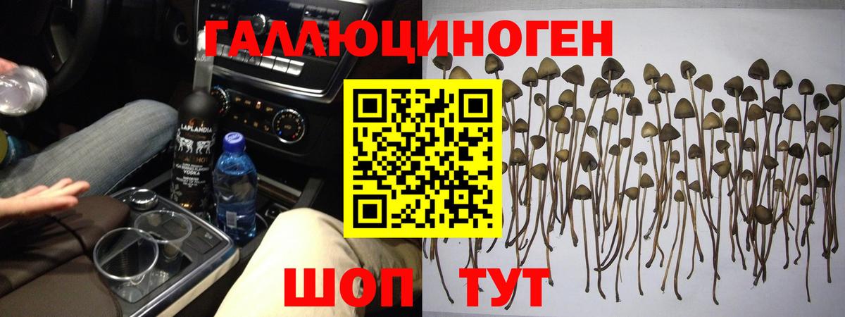 Берёзовский  Галлюциногенные грибы MAGIC MUSHROOMS  Галлюциногенные грибы ЛСД  Вход с VPN 