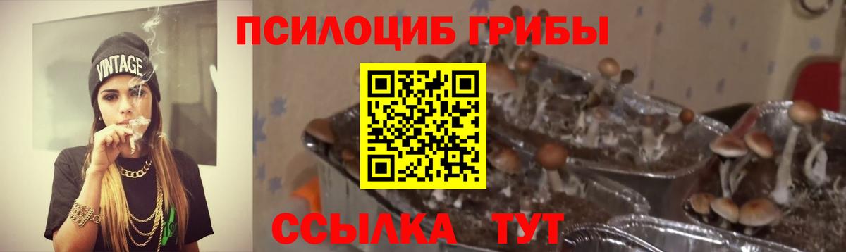 Псилоцибиновые грибы мицелий Берёзовский